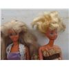 Image 2 : 2 Barbie Dolls With Ken Doll