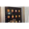 Image 3 : 1988 Coca-Cola Olympic XV Winter Games 20 Pin Collection Frame.