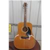 Image 2 : Tao W-122 Acoustic Guitar With Case.