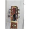 Image 3 : Tao W-122 Acoustic Guitar With Case.