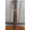 Image 4 : Tao W-122 Acoustic Guitar With Case.