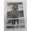 Image 13 : 4 Horsemanship, Jumping Exercises Books, Equus Hardcover