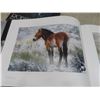 Image 4 : 4 Horsemanship, Jumping Exercises Books, Equus Hardcover