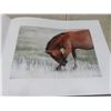 Image 5 : 4 Horsemanship, Jumping Exercises Books, Equus Hardcover