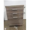 Image 3 : 2 Rolling Office Cabinets 25 1/2" X 18" X 18"