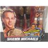 Image 3 : Shawn Michaels WWE Figure
