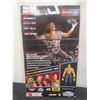 Image 4 : Shawn Michaels WWE Figure