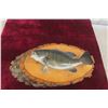 Image 1 : Vintage Smallmouth Bass Taxidermy Fish Mount On A Wood Base