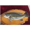 Image 2 : Vintage Smallmouth Bass Taxidermy Fish Mount On A Wood Base