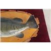 Image 5 : Vintage Smallmouth Bass Taxidermy Fish Mount On A Wood Base
