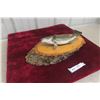 Image 6 : Vintage Smallmouth Bass Taxidermy Fish Mount On A Wood Base