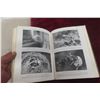 Image 4 : Vintage 1935 Hardcover Spider, Butterfly, Insect Book Lavishly Illustrated