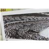 Image 4 : Winnipeg Jets White Out Panoramic 40" x 13 1/2"