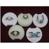 Image 4 : 29 Rings with Cases