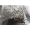 Image 2 : Bob Hope Autograph Photo 8" x 10"