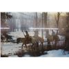 Image 4 : Print Of Indigenous People On Horseback Professionally Framed 31.5" x 41"