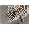 Image 3 : Faux Zebra Hide 66" x 84"