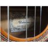 Image 11 : Saturn Acoustic Guitar Needs Some TLC, Missing 2 Strings, Damage To Face And Back