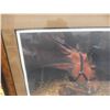 Image 6 : Numbered And Signed Print 32" x 26"