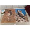 Image 7 : 20 Vintage Laminated Large Posters