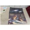 Image 8 : 20 Vintage Laminated Large Posters