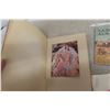 Image 7 : 1925-6 Figure Painters Illustrations, 1914 Pharmacy Almanac, 1939 Dr Chases Almanac And Banjo Box