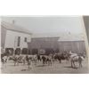 Image 14 : 3 Antique Original Pictures Steam Threshing Machine Harvest 1915, Horse Logging And Haying