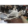 Image 3 : Halloween Skeleton Display And Folding Chair
