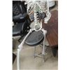 Image 5 : Halloween Skeleton Display And Folding Chair