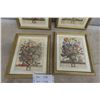 Image 4 : 4 Framed Pictures