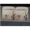 Image 6 : Antique Stereoscopic Viewer with Box Full of Slides
