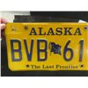 Image 5 : Alaska License Plate