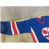 Image 4 : Vintage Winnipeg Jets Jersey
