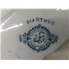 Image 15 : China Plates Grindley Arabic 1891–1914, Clifford Plate 1891, Cotswold Crown Ducal Florentine, Colon