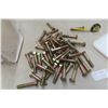 Image 1 : New 4" Bolts - Pail Full