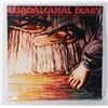 Image 1 : VINYL RECORD GUADALCANAL DIARY “FLIP FLOP”