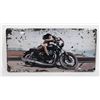 Image 1 : BRAND NEW METAL GIRL ON MOTORCYCLE LICENSE PLATE