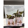 Image 4 : Ceramic Planters with Bamboo Stands – 2 Pieces