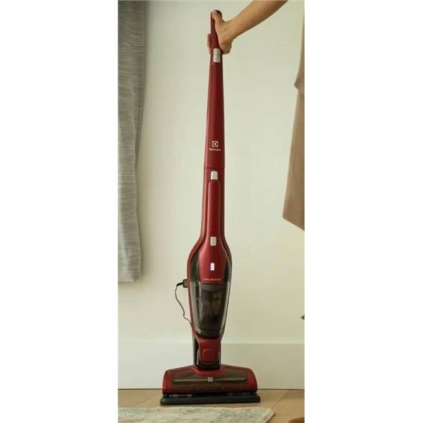 Electrolux Ergorapido Pet Cordless Stick Vacuum Cleaner