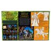 Image 2 : A "Lord of the Rings: The Fellowship of the Ring" Arwen and Asfaloth Deluxe Horse and Rider Set