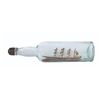 Image 2 : A Ship in a Bottle.