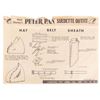 Image 3 : A Peter Pan Suedette Outfit Kit.