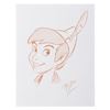Image 1 : A Ron Dias Signed Peter Pan Drawing.