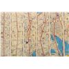 Image 4 : An American Airlines World's Fair Line Map.