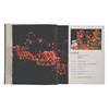 Image 5 : A Disneyland: Inside Story Book.