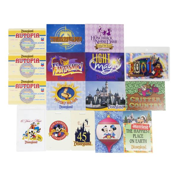 A Collection of 16 Disneyland Information & Lanyard Cards.