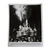 Image 4 : A Disneyland 30th Anniversary Press Kit.