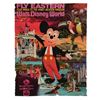 Image 1 : A (Poor) Fly Eastern Walt Disney World Poster.
