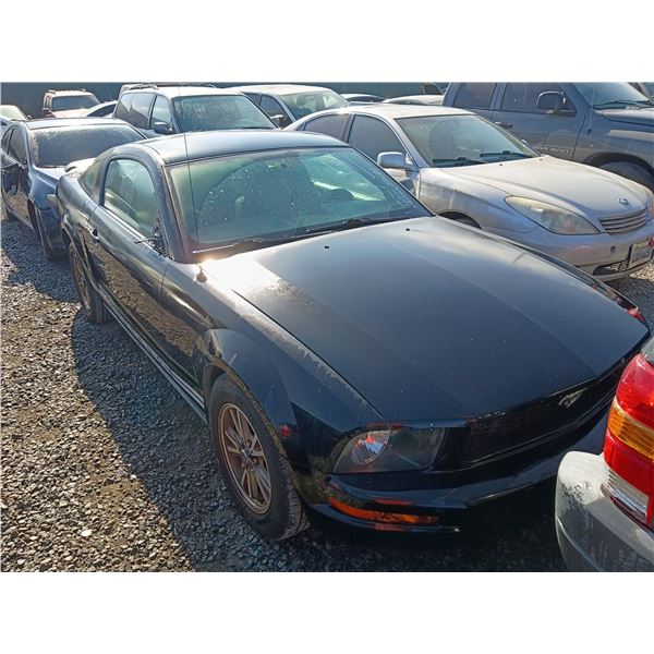 FORD MUSTANG 2005 T-DONATION