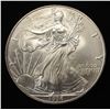 Image 1 : 1996 AMERICAN SILVER EAGLE